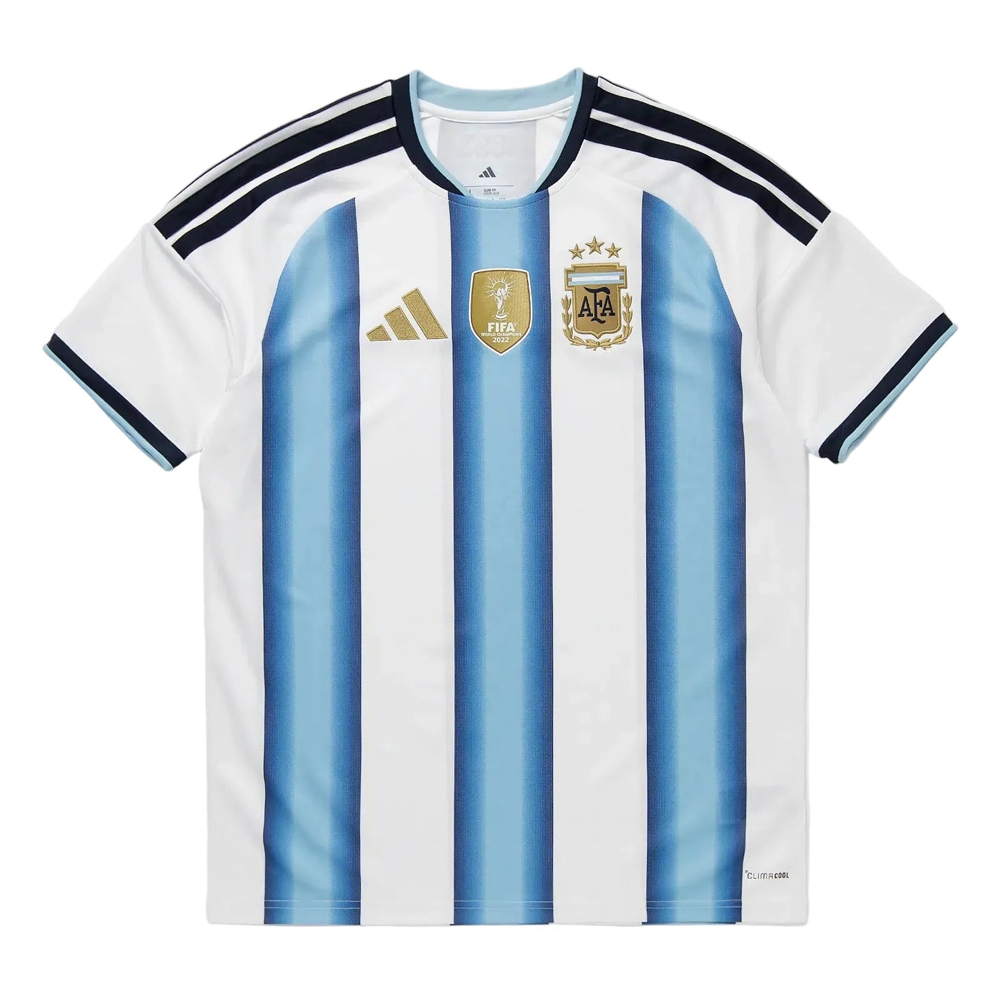 Argentina 2026 Acasă